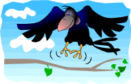 Un corbeau sur une branche